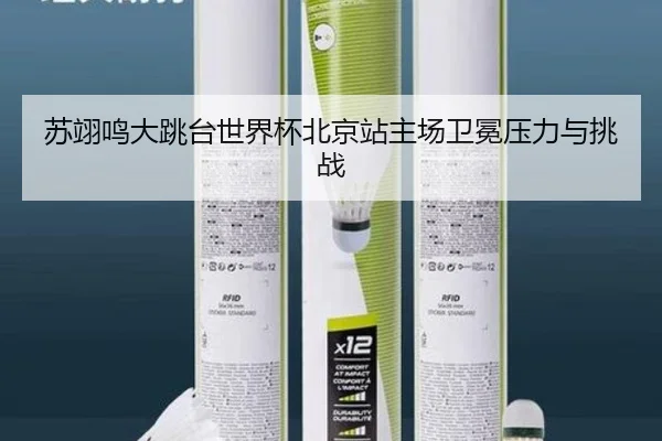 su-yi-ming-da-tiao-tai-shi-jie-bei-bei-jing-zhan-zhu-chang-wei-mian-ya-li-yu-tiao-zhan-2-844.jpg