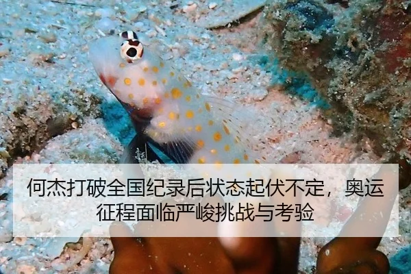 he-jie-da-po-quan-guo-ji-lu-hou-zhuang-tai-qi-fu-bu-ding-ao-yun-zheng-cheng-mian-lin-yan-jun-tiao-zhan-yu-kao-yan-3-692.jpg