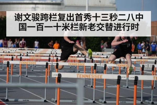 谢文骏跨栏复出首秀十三秒二八中国一百一十米栏新老交替进行时